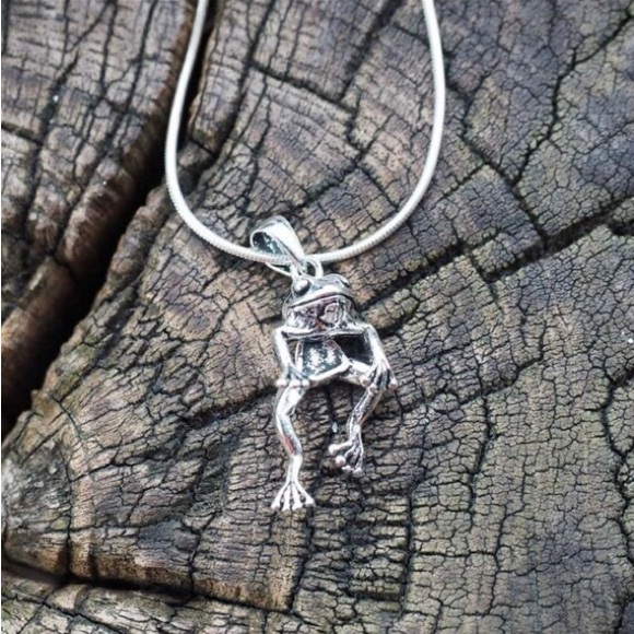 Frog Earring and Necklace Set Jewelry Silver Finish Pierced Earring Unisex. - Picture 3 of 5